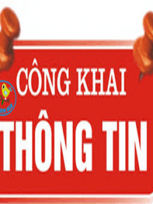 Công khai tài chính ngày 16/4/2021